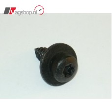 Torx schroef N  10512701